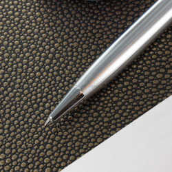 Stylo Bille Diplomat® Esteem Chromé Mat