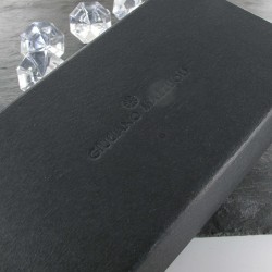Stylo Plume Giuliano Mazzuoli® Officina Gun