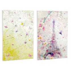 Carnet Chacha Clairefontaine