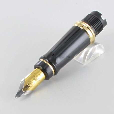 Bloc Plume de Rechange Doré Or "Expert" WATERMAN® pour stylos plumes "Expert" (Médium) Bloc Plume de Rechange Doré Or "Expert" WATERMAN® pour stylos plumes "Expert" (Médium)
