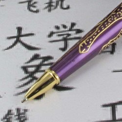 Stylo Bille Cross® Sauvage "Année du Buffle" Laqué Prune & Or 23 cts