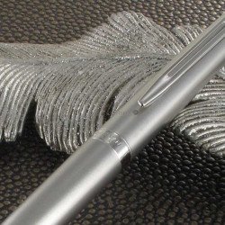 Stylo Roller WATERMAN® Hémisphère Acier Mat