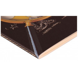 Carnet Clairefontaine® Astérix Noir Loupe