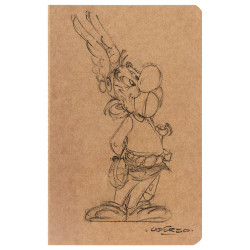 Carnet Clairefontaine® Astérix