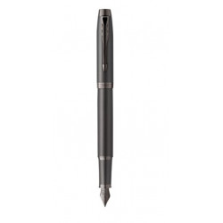 Stylo Plume Moyenne PARKER® IM Monochrome Titane