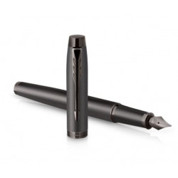 Stylo Plume Moyenne PARKER® IM Monochrome Titane