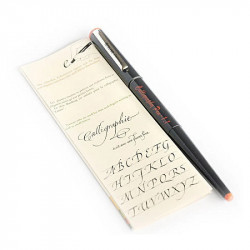 Stylo de calligraphie plume 2,3 mm + 6 cartouches d'encre de couleur