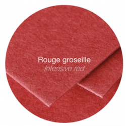 20 Enveloppes Pollen 114x162 Adhésives Groseille